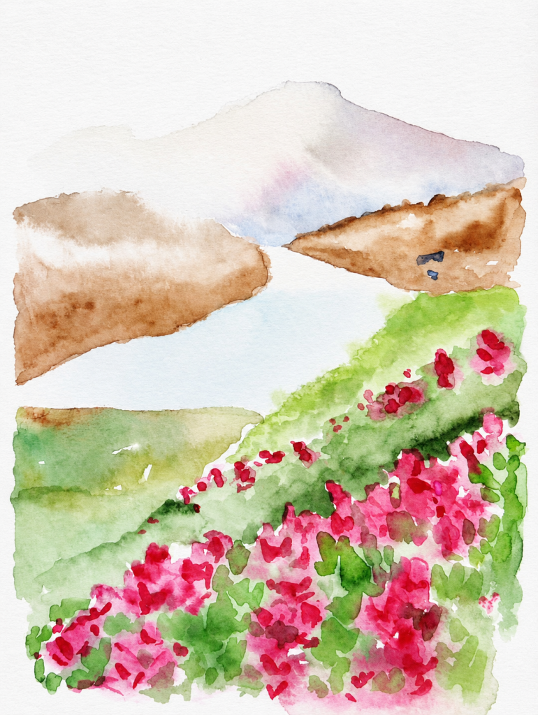 Beyond the Meadow