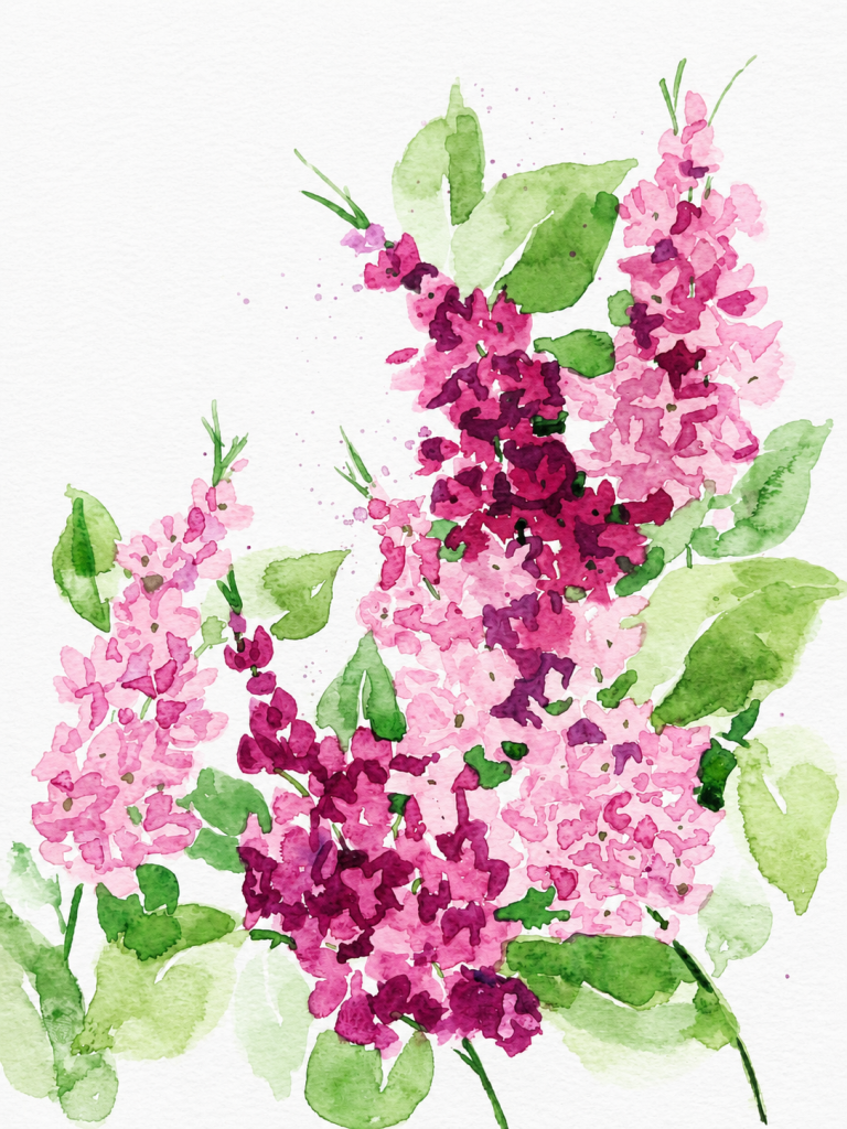 Spring Cascade
